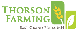 logo theme