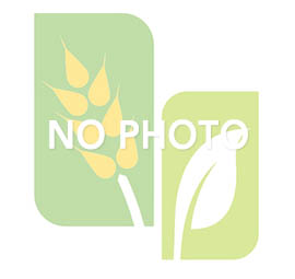 team member image